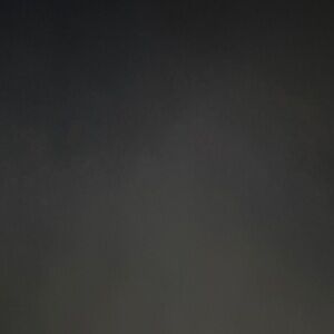 Meet your Posher, Reece